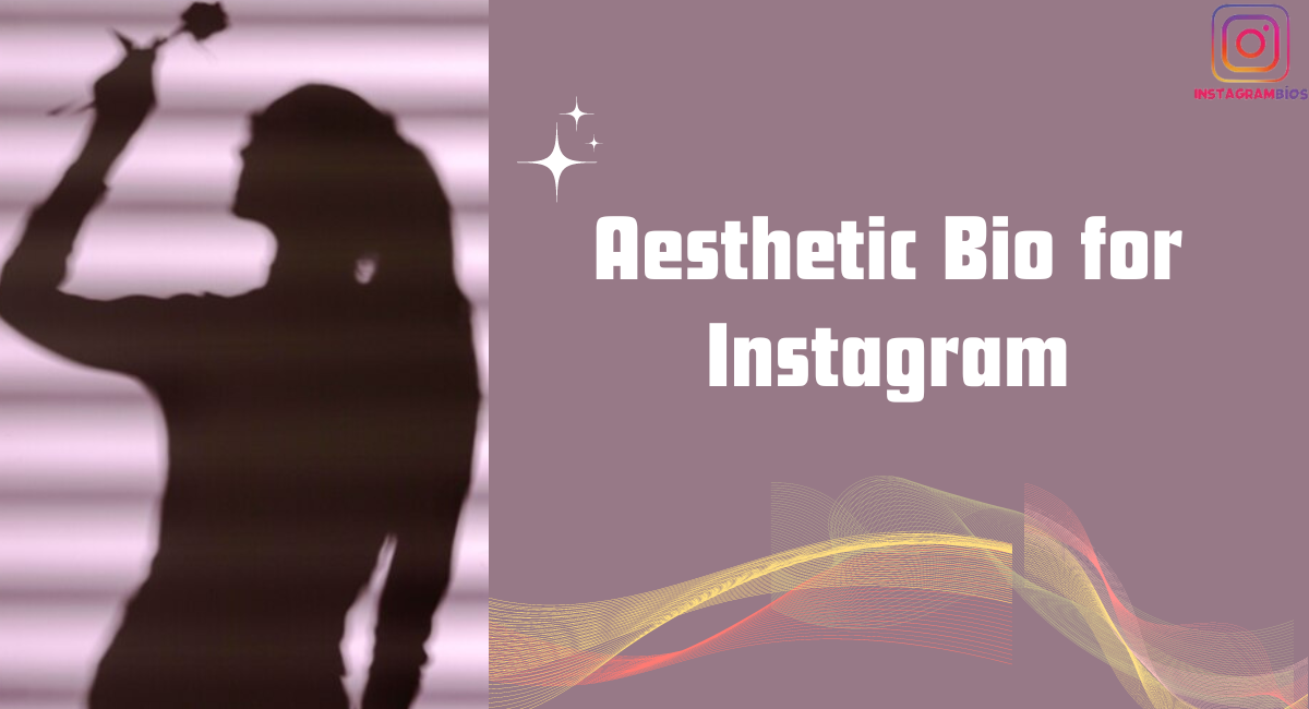 aesthetic bio for instagram